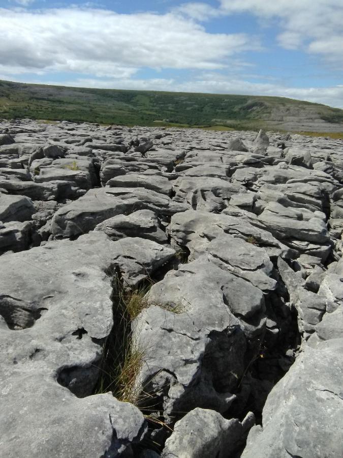 Burren Rock Farmhouse B&B Turlough  Bagian luar foto